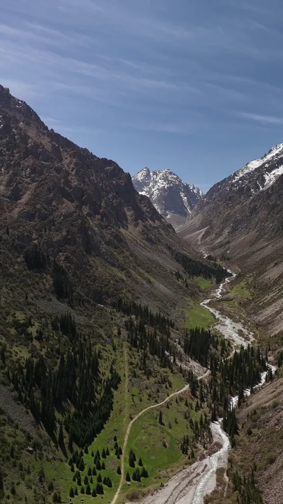 Ала-Арча Видео 1